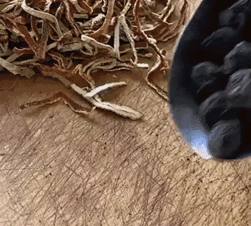 1.gif